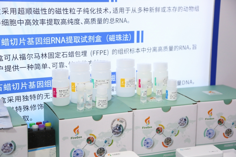 2P1A4847.jpg
